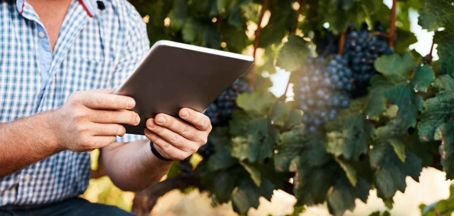 Intelligenza Artificiale nell’Agroalimentare: L’Innovazione al Servizio del Settore Vitivinicolo in Irpinia